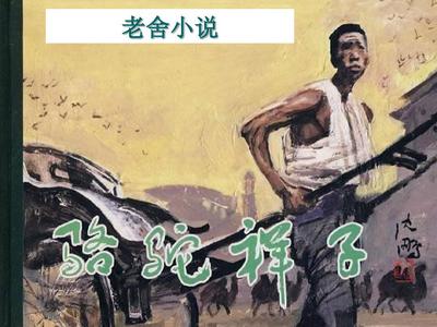 小红帽2026版本更新